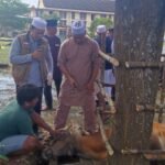 Dansat Brimob Polda Jambi Kombes Pol Nadi Chaidir saat hendak menyembelih hewan qurban