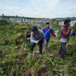 Calon Gubernur Jambi nomor urut 2 Al Haris ikut gotong royong bersama warga Kelurahan Bagan Pete, Kota Jambi