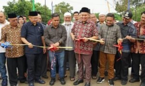 faried peresmian jembatan kampung bugis